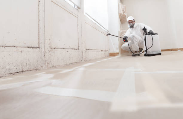 24/7 Emergency Basement Mold Removal experts in Butler, PA