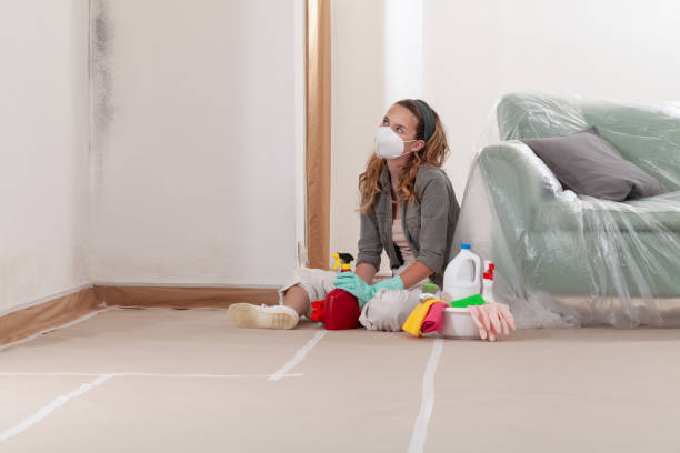 Reliable Basement Mold Removal contractor in Butler, PA by WQB Mold Removal